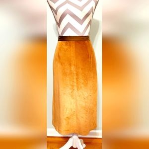 Beautiful Bronze Gold Banana Republic Size 8 fall Skirt